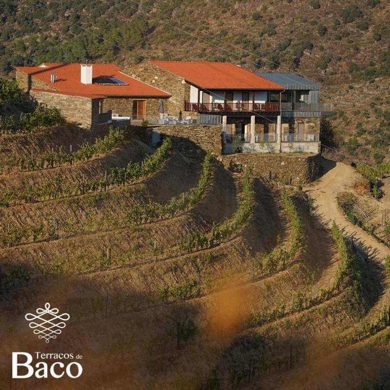 Вилла Terracos De Baco Ribalonga Экстерьер фото